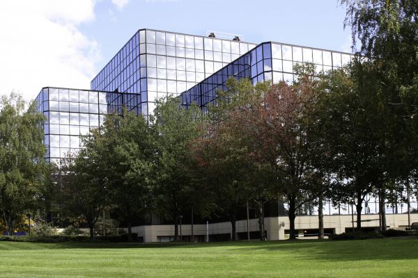 Commercial Tree Trimming in Shingle Springs